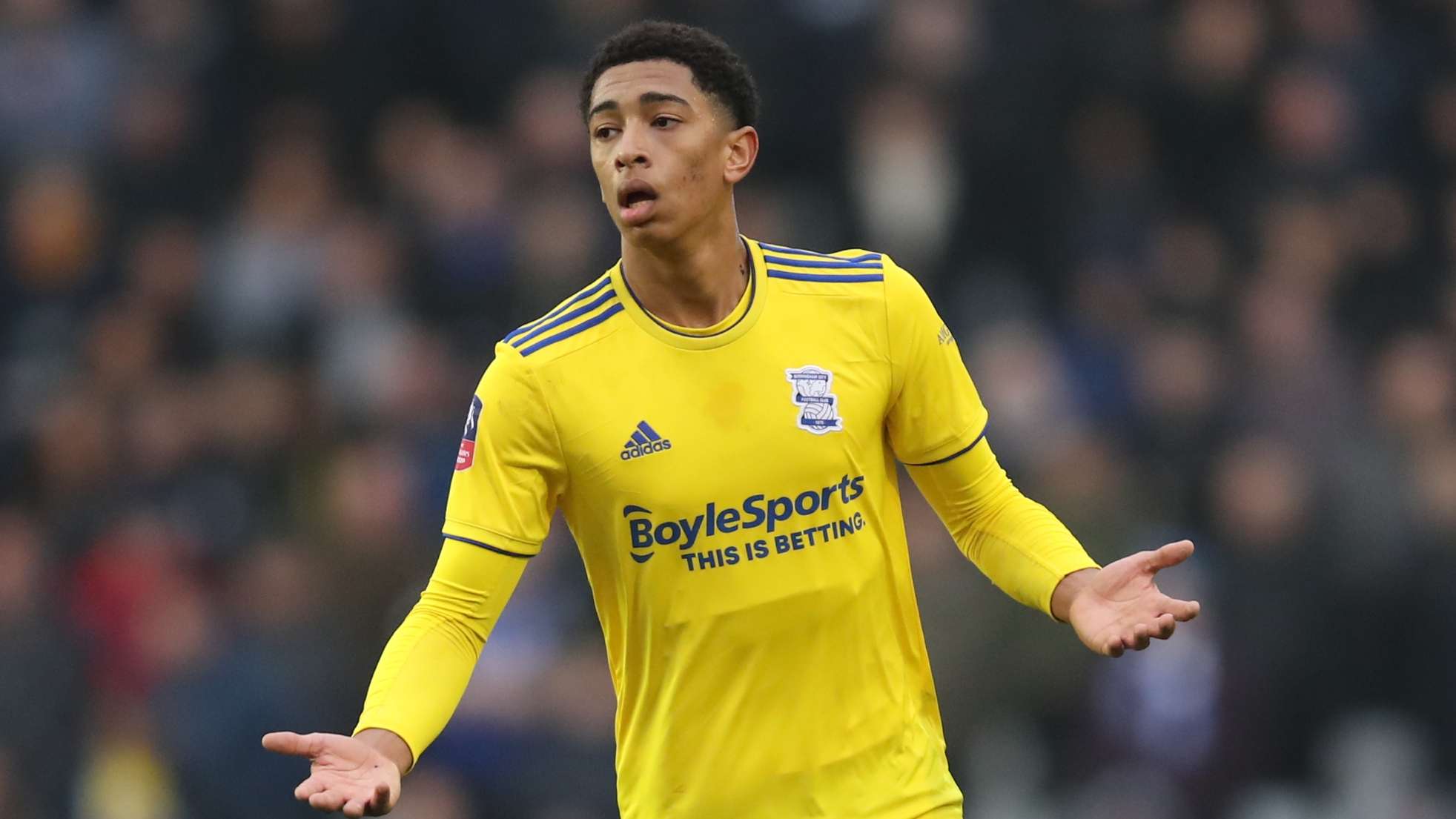 证明了只要 证明了只要